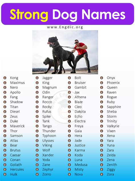 strong male puppy names